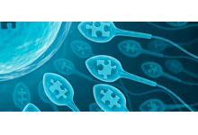 Maa Manasa Clinic Joda